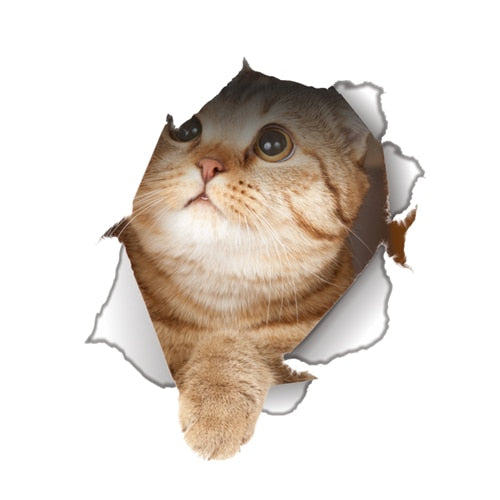 Katzen 3D-Wandaufkleber, Toilettenaufkleber, Lochansicht, lebendige Hunde, Badezimmer, für Heimdekoration, Tiere, Vinyl-Aufkleber, Kunst, Tapete, Poster
