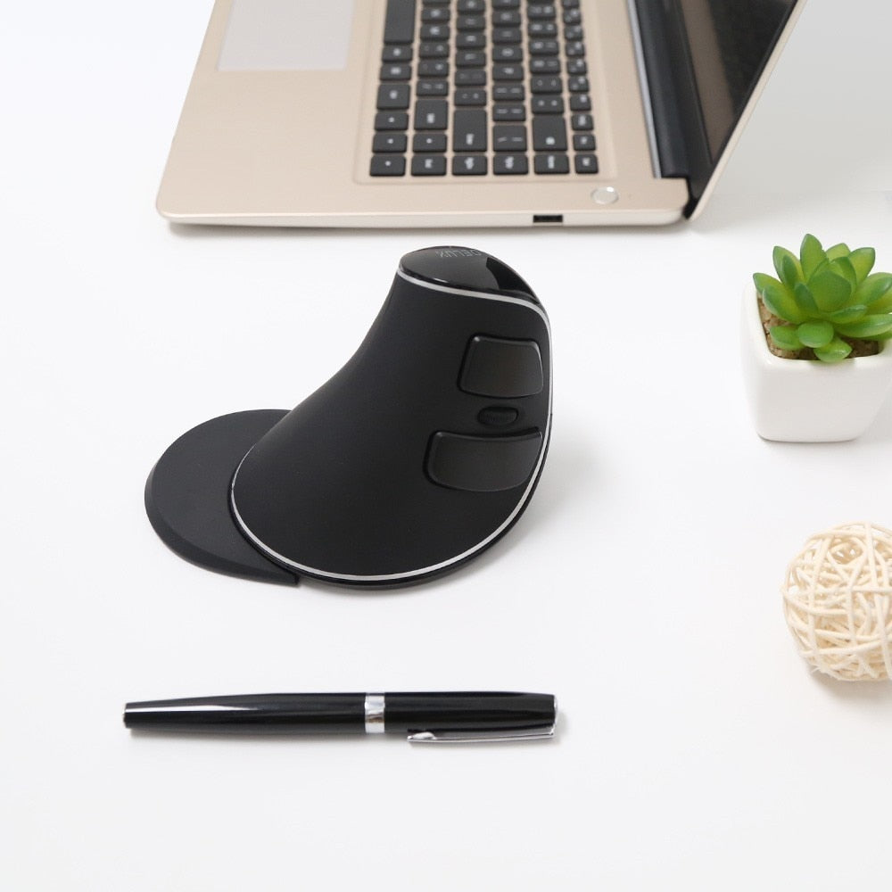 Delux M618 Plus Ergonomische vertikale kabellose Maus, 1600 DPI, 6 Funktionstasten, optische Mäuse mit abnehmbarer Handballenauflage für Computer