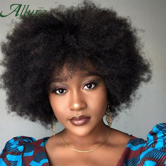 Flauschige Afro Kinky Curly Perücke für schwarze Frauen, Remy brasilianisches menschliches Haar kurze freche menschliche Haarperücken natürliches Braun