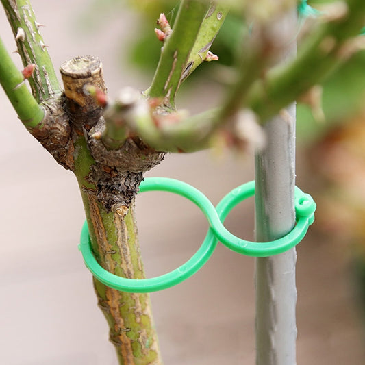 50/100 Stück Gartenpflanzenhalter-Spalier-Clips