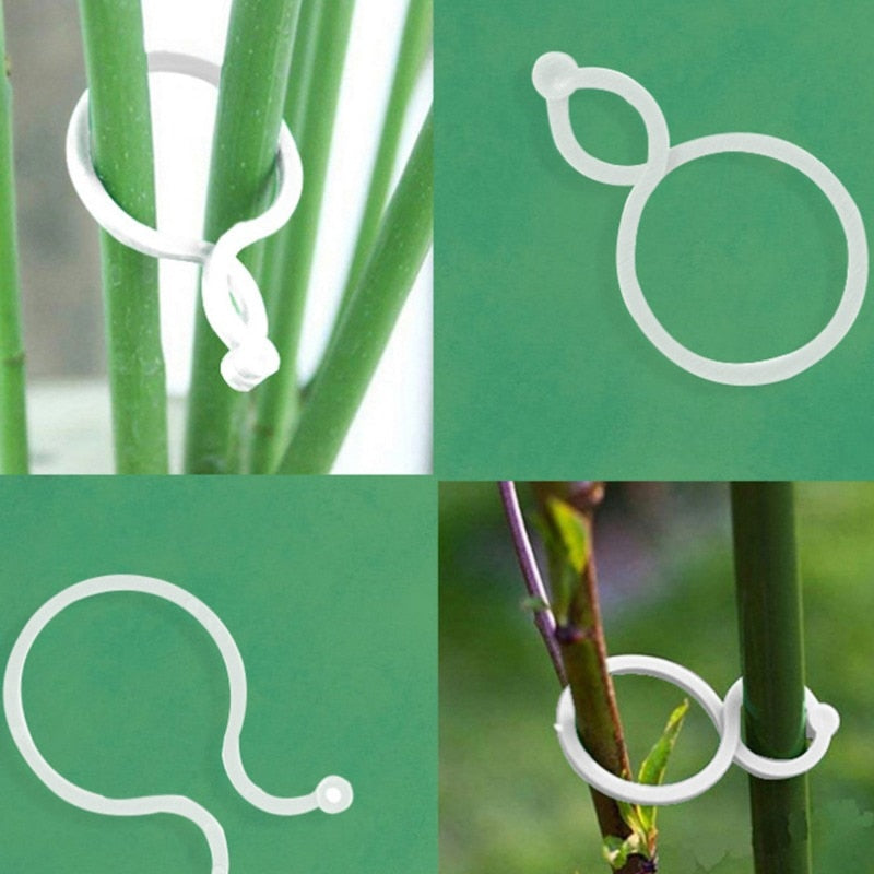 50/100 Stück Gartenpflanzenhalter-Spalier-Clips