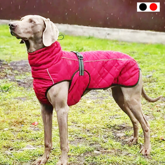 Hund Outdoor Jacke Wasserdicht, Reflektierende Haustier Mantel