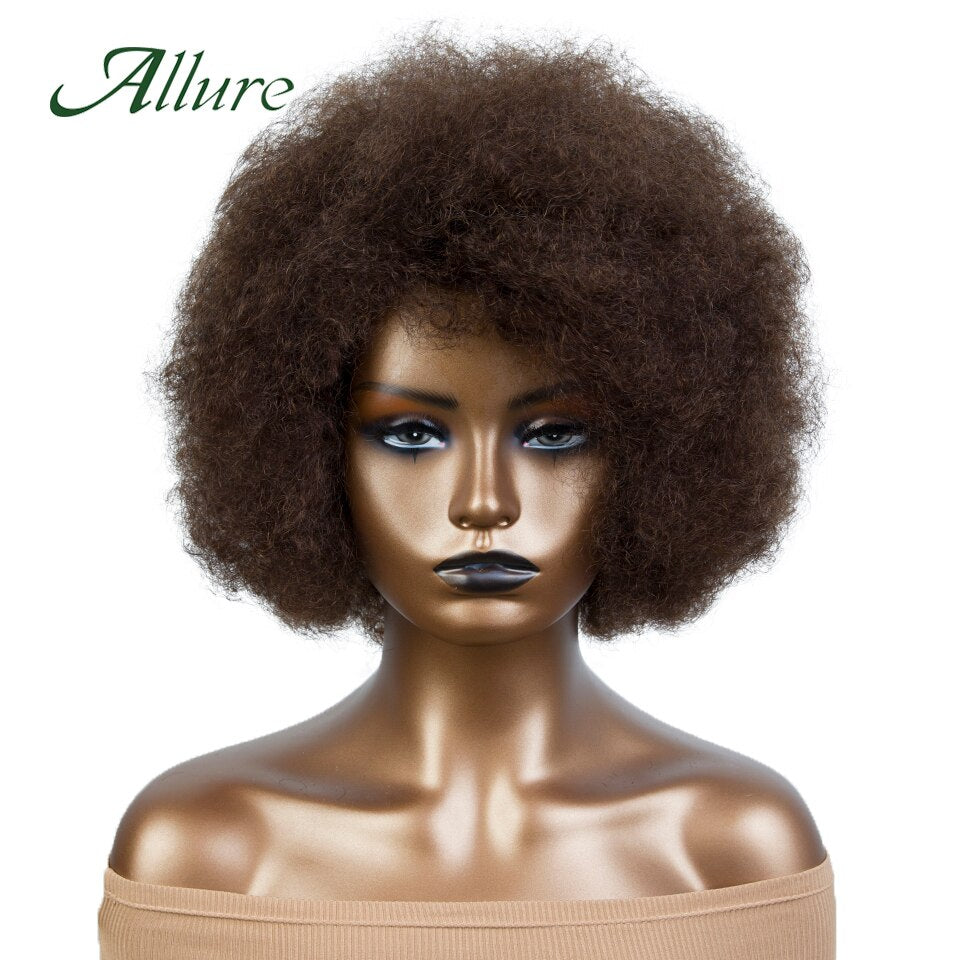 Flauschige Afro Kinky Curly Perücke für schwarze Frauen, Remy brasilianisches menschliches Haar kurze freche menschliche Haarperücken natürliches Braun