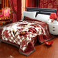 2–6 Kilogramm dicke, warme, flauschige, superweiche Rascheldecken, doppellagige Winter-Nerzdecke, fette Quilts, einzelne Decke in doppelter Größe
