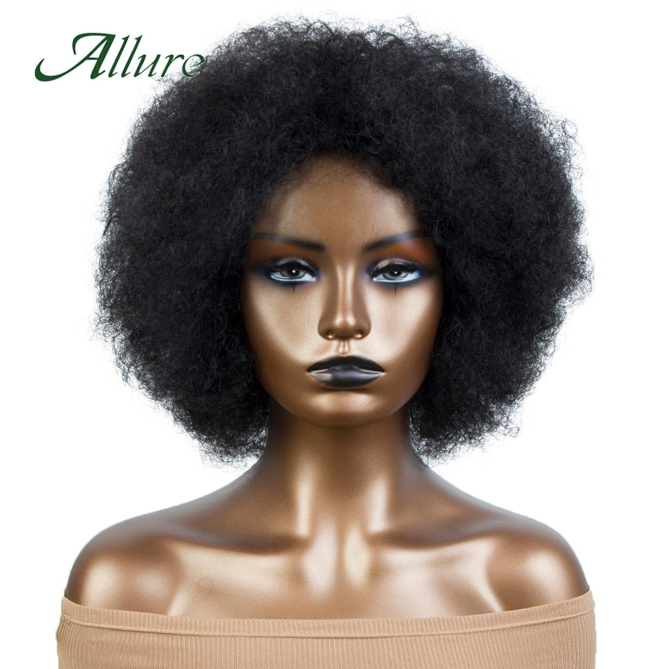 Flauschige Afro Kinky Curly Perücke für schwarze Frauen, Remy brasilianisches menschliches Haar kurze freche menschliche Haarperücken natürliches Braun